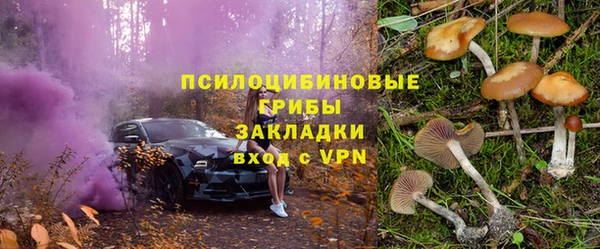 амф Алексеевка