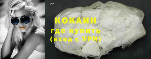 индика Алзамай