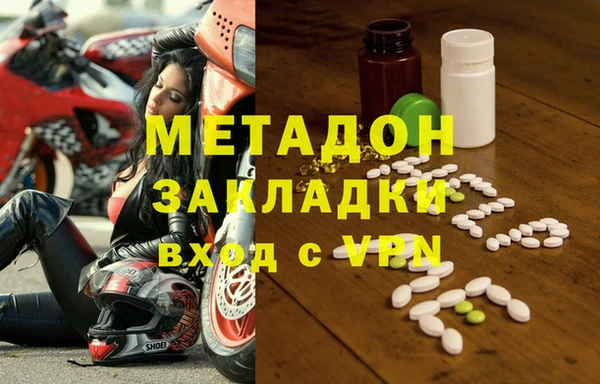 индика Алзамай