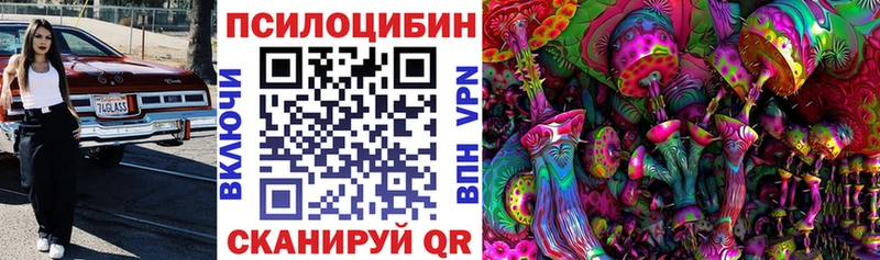 где найти   Ярцево  Галлюциногенные грибы MAGIC MUSHROOMS 